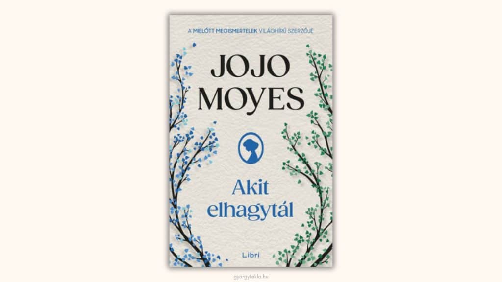 Jojo Moyes: Akit elhagytál